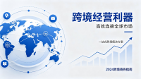 跨境商家必备 注册海外公司实用经营优势解析